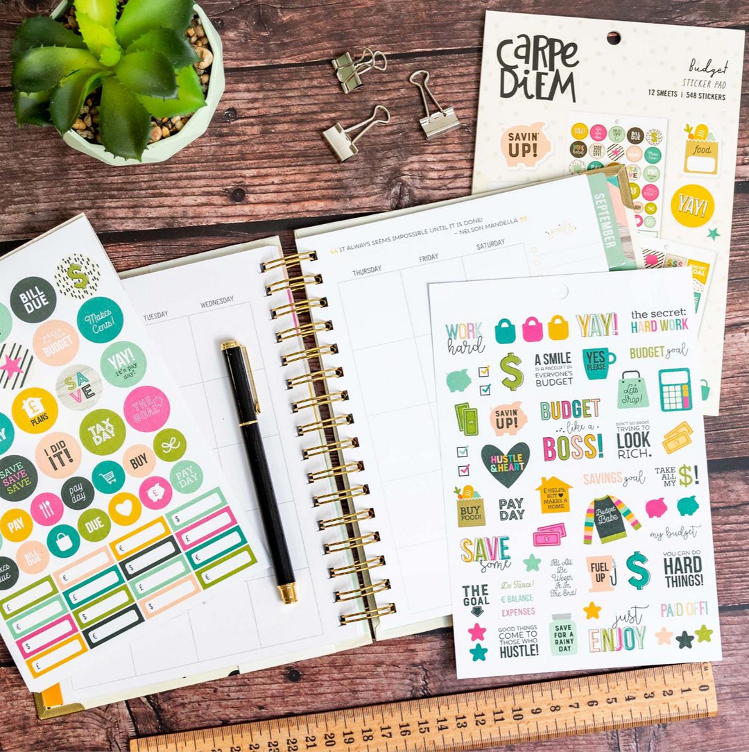 Planner with colorful budget-themed stickers, a pen, binder clips, and a cactus plant on a wooden surface