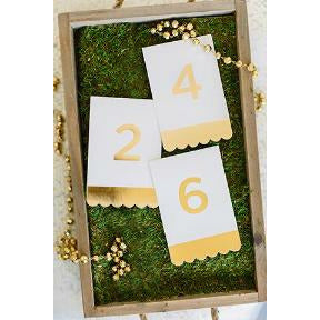 3 cream tent cards with gold foil printed edge and the numbers 2, 4, and 6 pinned on a frame with moss backdrop and gold pearl garland